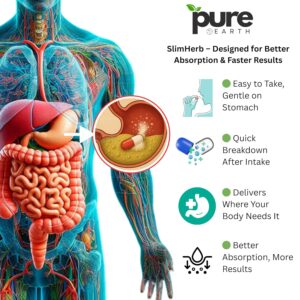 81CgisVtesL._SL1500_